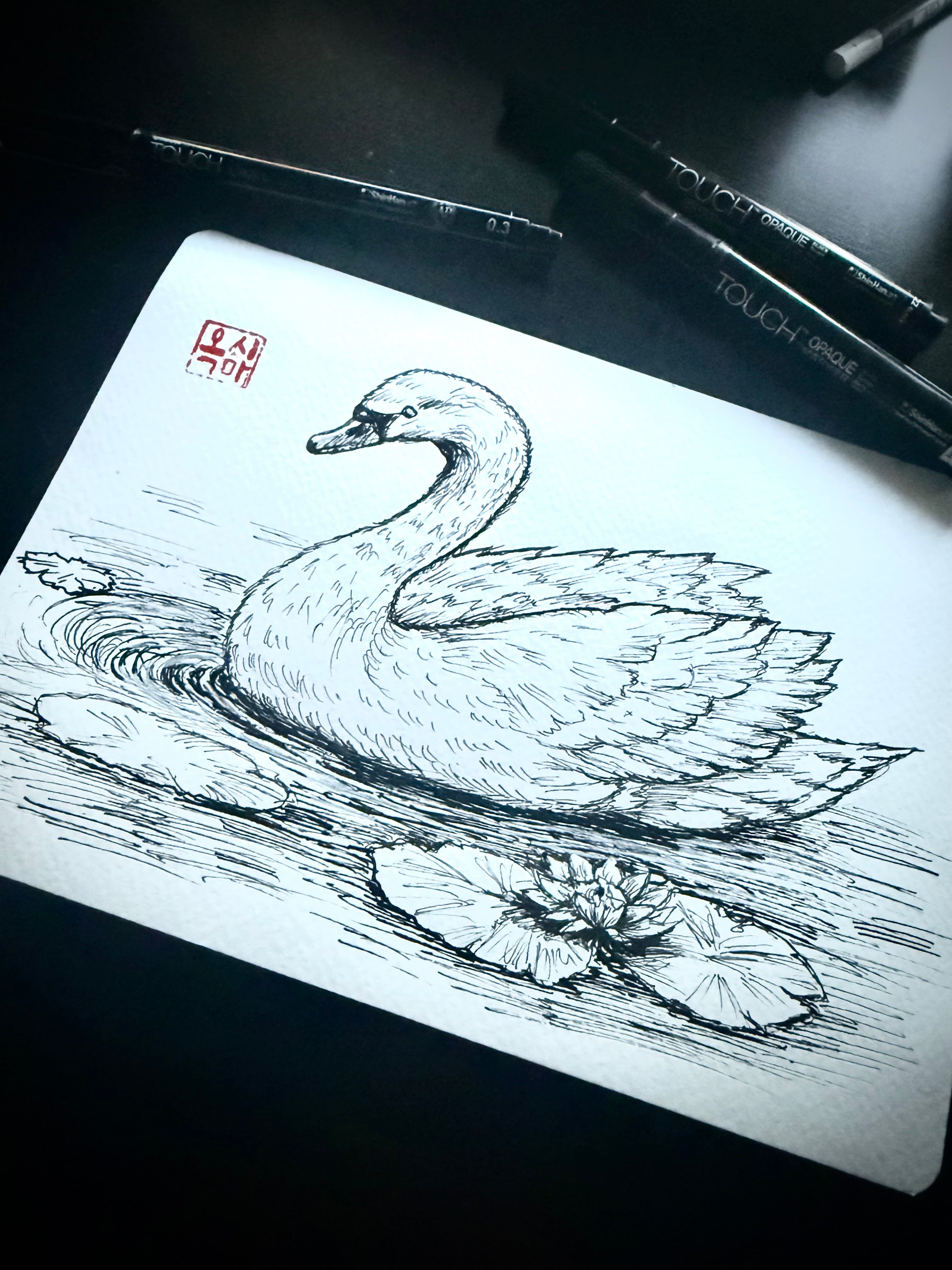 Cygne (noir et blanc)
